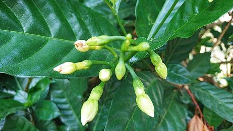 SE多人射击游戏《泡沫明星》2月6日发售 首发加入PS+