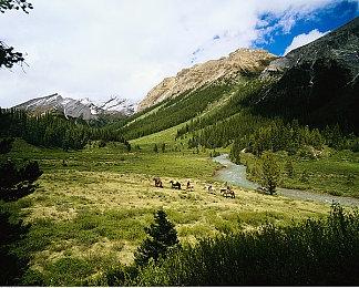 《光之子》创造者Plourde离职 为育碧工作近20年